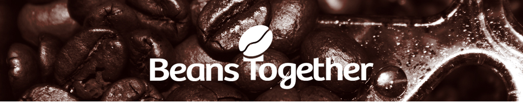 Web development-Beans Together