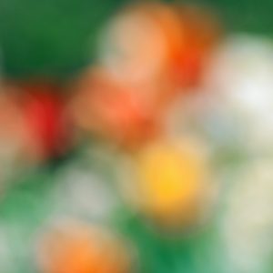 Tulips in a Blur 12