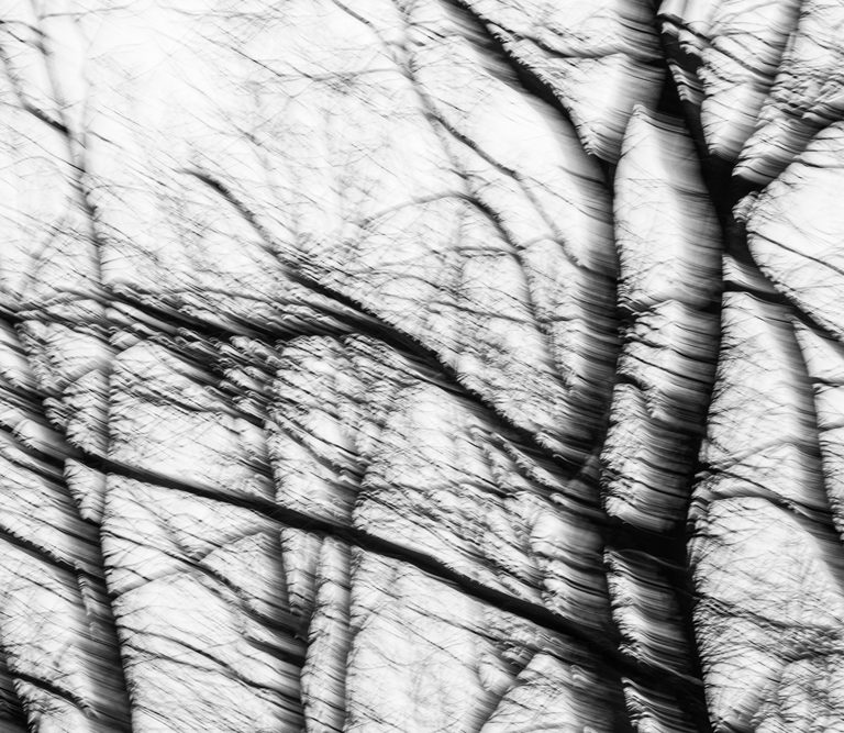 Invisible Evidence 2