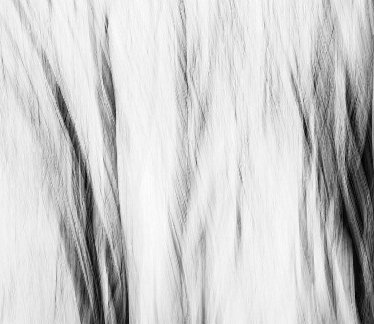 Invisible Evidence 3