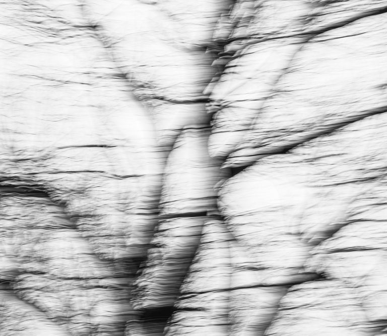 Invisible Evidence 4