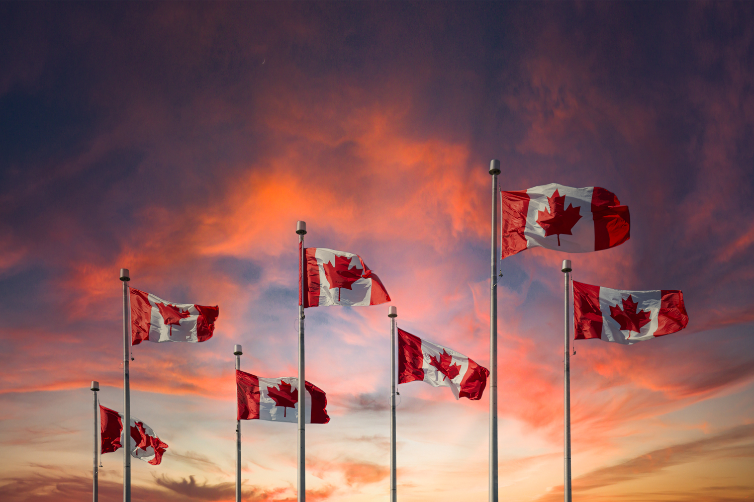 Canadian Flags at Sunset