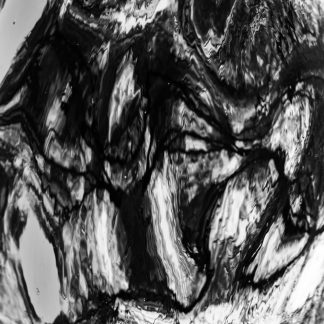 Stark Converging Pathways 1 – Ottawa Rideau Canal Monochrome Art by Alexei Quintero