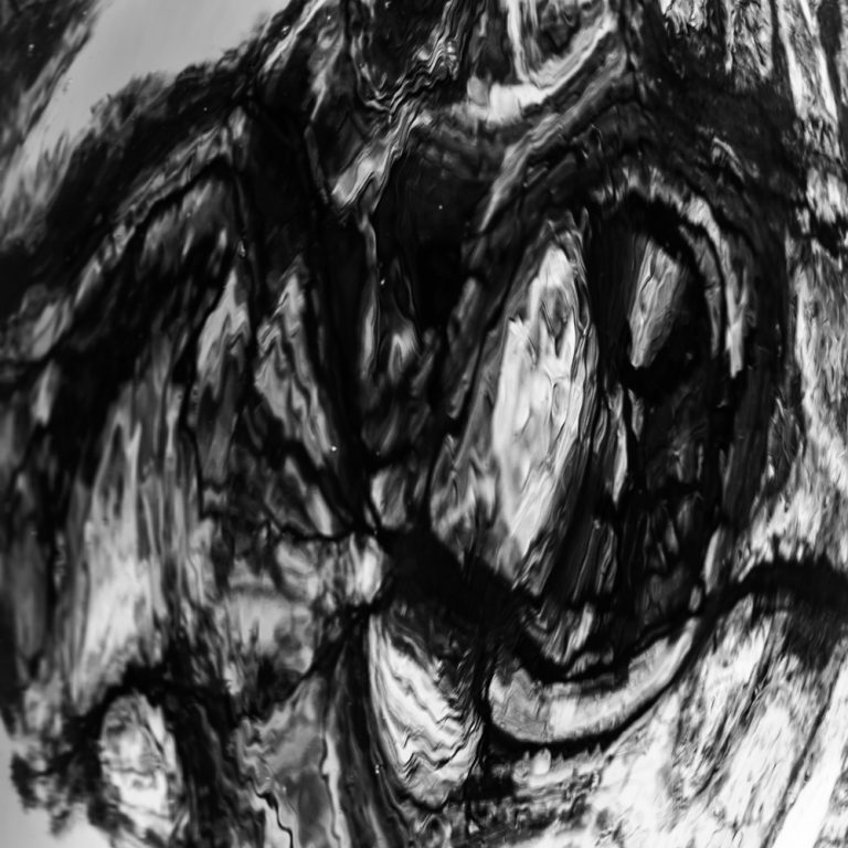 Converging Pathways 2