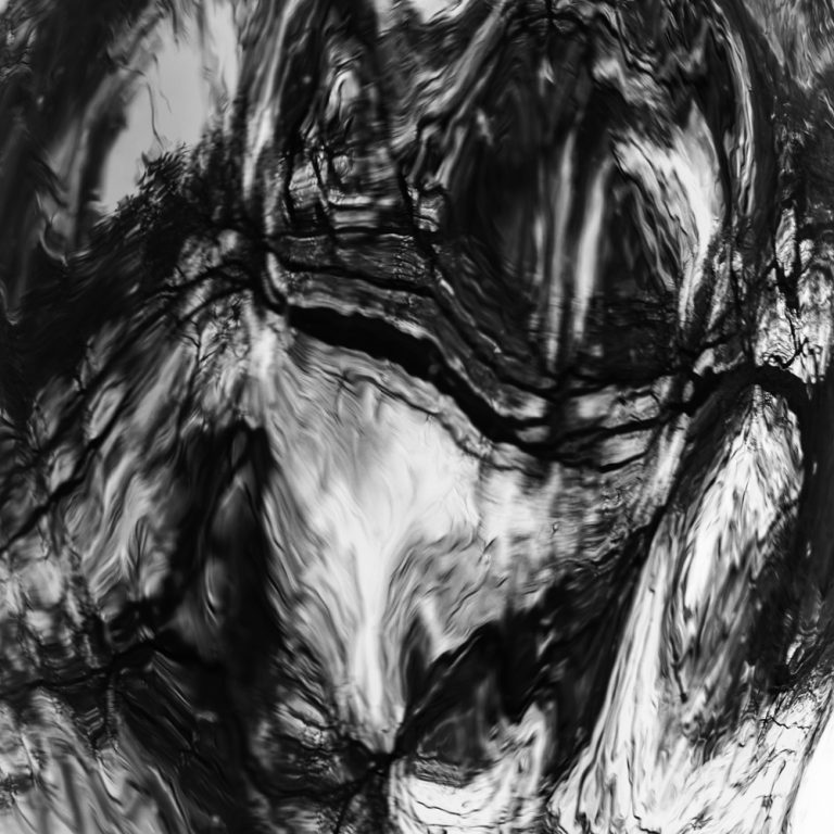 Converging Pathways 3