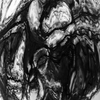 Stark Converging Pathways 5 – Ottawa Rideau Canal Monochrome Art by Alexei Quintero