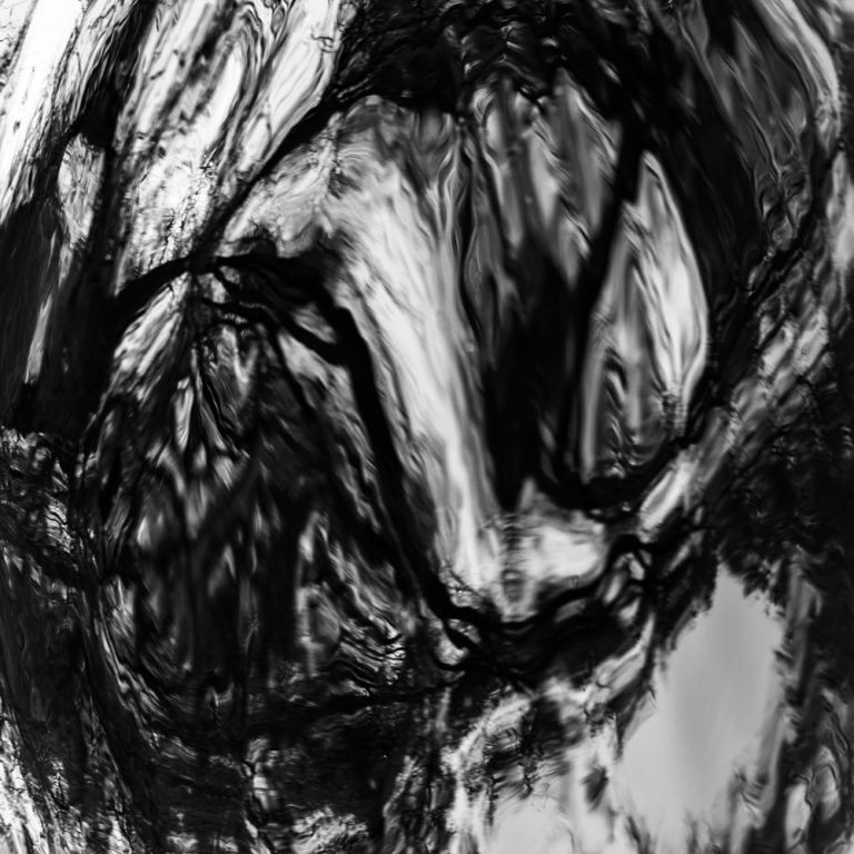 Converging Pathways 6