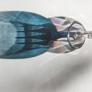 Glass and Light: Reflections in Motion 9