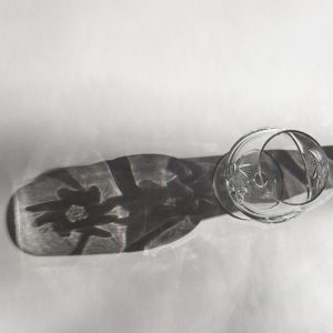 Glass and Light: Reflections in Motion 2