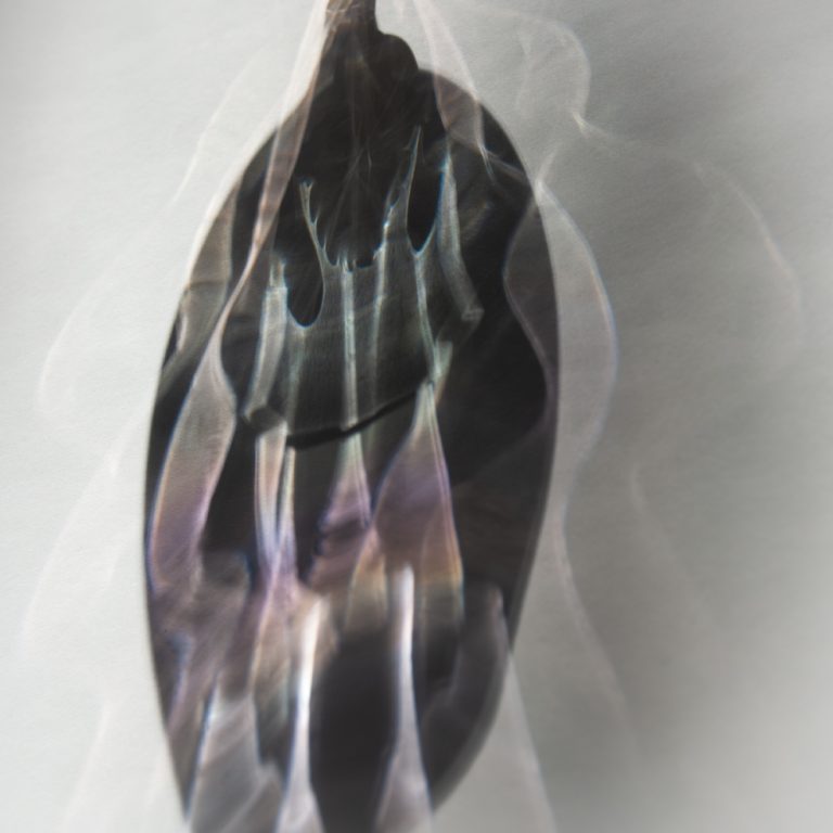 Glass and Light: Reflections in Motion 6