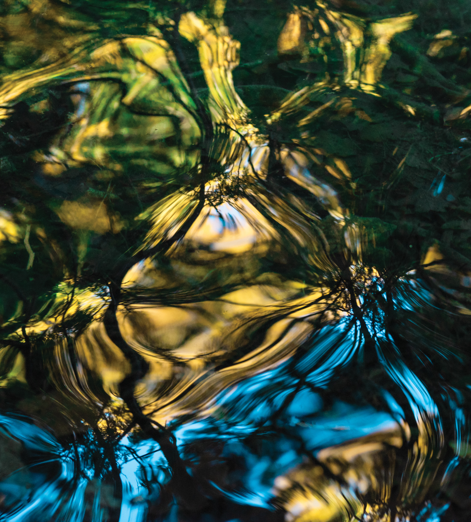Abstract Waters — The Exhibit-5