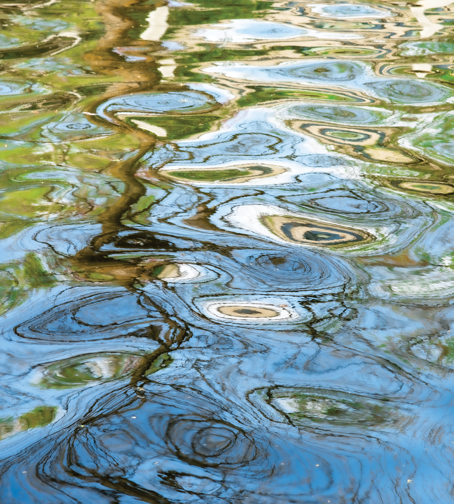 Abstract Waters — The Exhibit-1