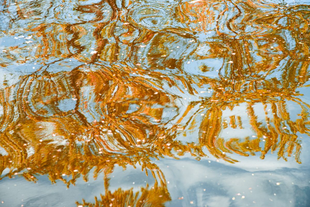 Abstract Waters – The Exhibit-8