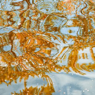 Abstract Waters – The Exhibit-8