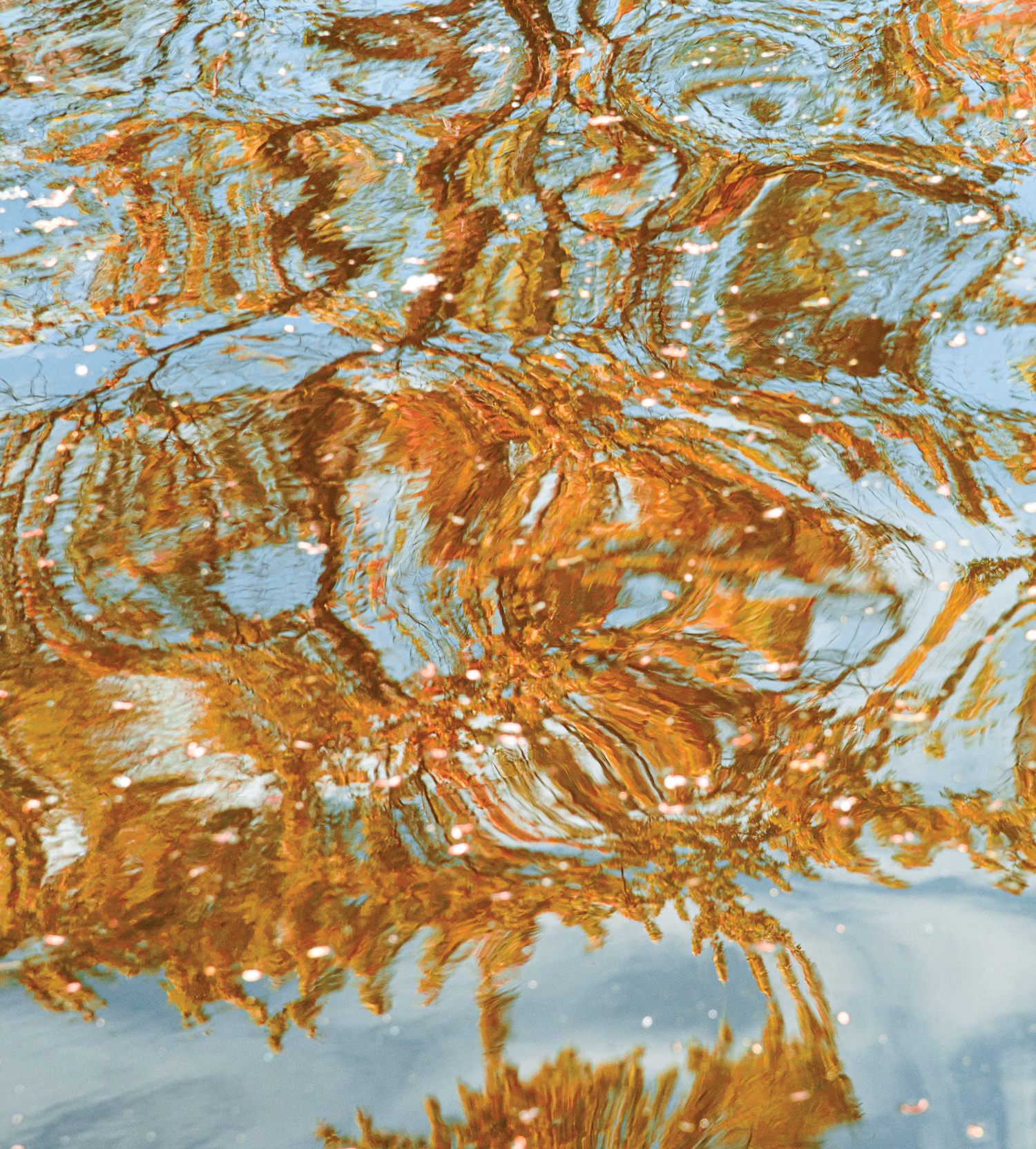 Abstract Waters — The Exhibit-8