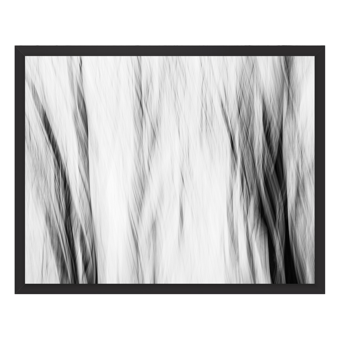 Captivating Invisible Evidence 3 – Abstract Tree Branch – Black and White