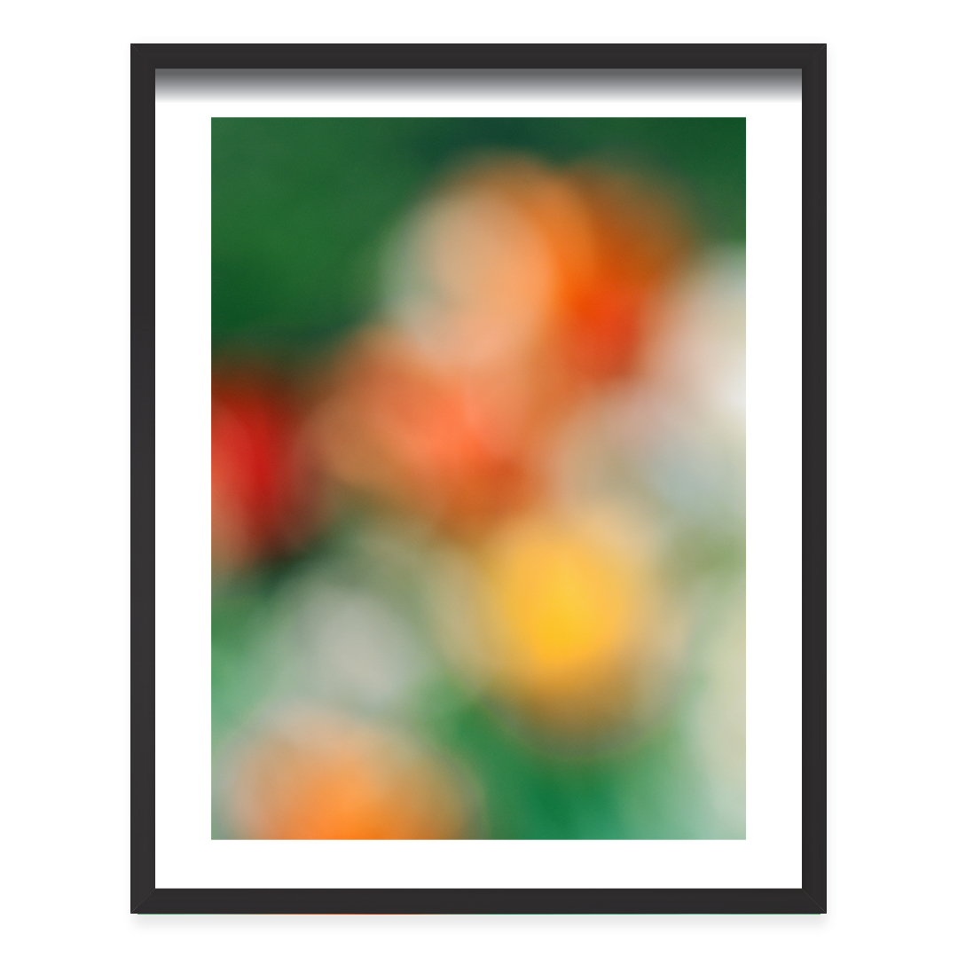 Tulips in a Blur 12 – Abstract Soft Focus Floral – Fine Art Photography Print
