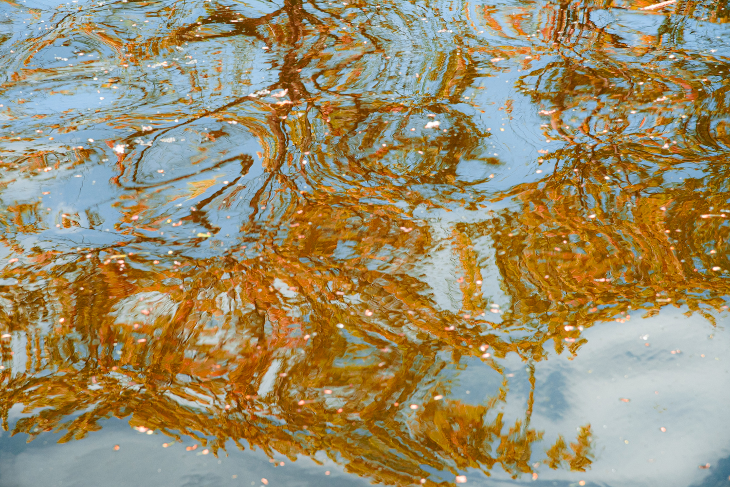 Abstract Waters – The Collection - 15