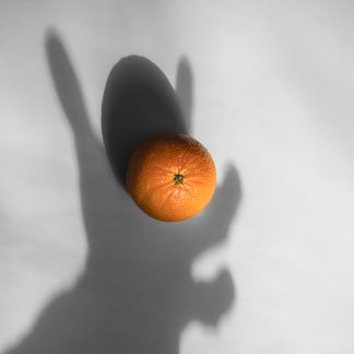 Shadows Play- Orange 1 - Feature image