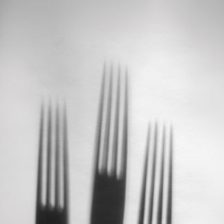 Shadows Play – The Forks - Feature