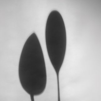 Shadows Play – Serving Spoons - Feature